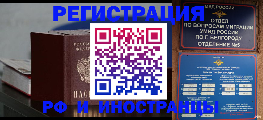 прописка 2025 в Сальске